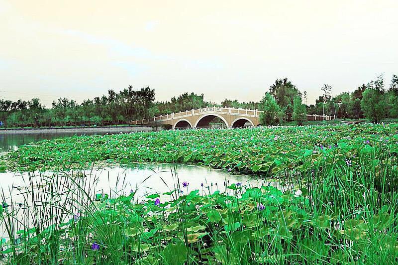 中原绿色庄园景区 - 中国河南濮阳景点
