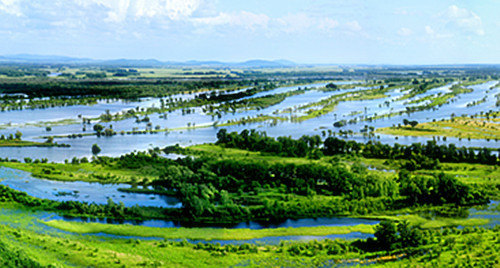 七星河湿地国家级自然保护区 - 中国黑龙江双鸭山景点